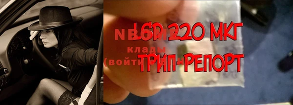 эйфоретик Осинники