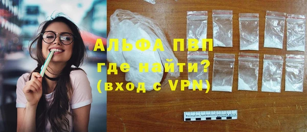 крисы Осташков